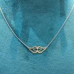 گردنبند با آویز بال