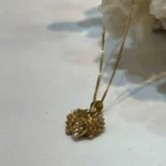 پلاک جوجه تیغی