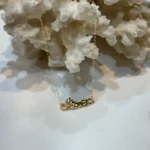 گردنبند زنجیر متصل پنتر