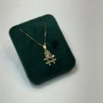 پلاک هشتک قلب