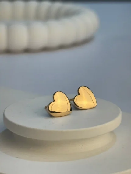 گوشواره میخی طرخ قلب