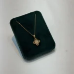 پلاک طرح روبرتو