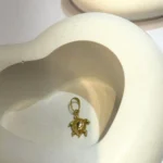 پلاک طرح لاک پشت